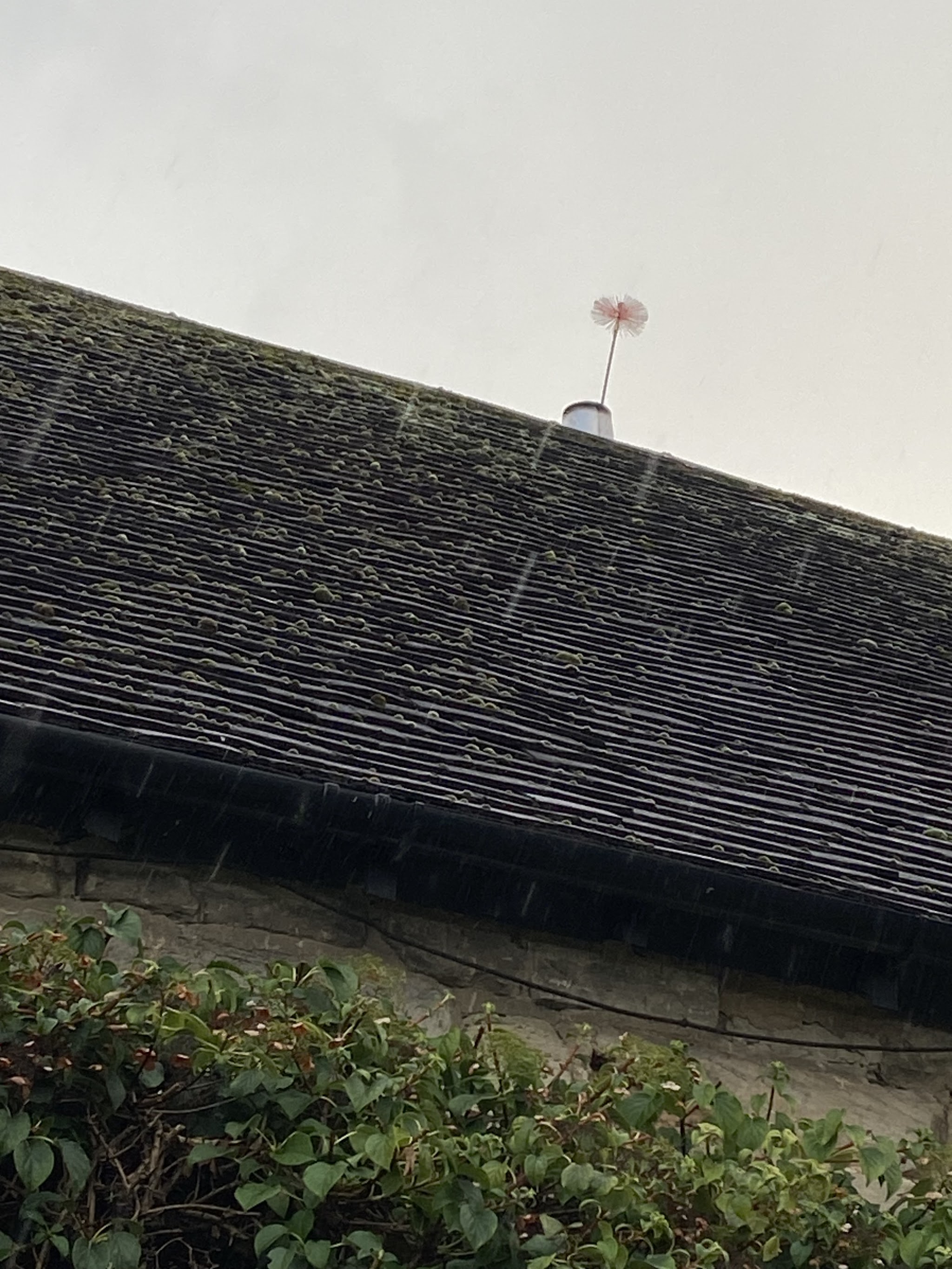 The sweep's brush head out of a chimney pot above a tiled roof